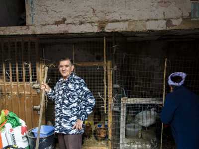 Qui vengono allevati una ventina di tacchini e galline 
